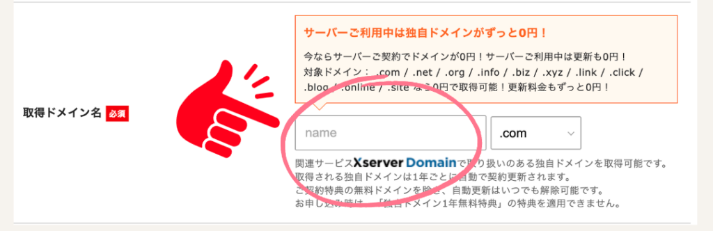 ドメイン名を入力する